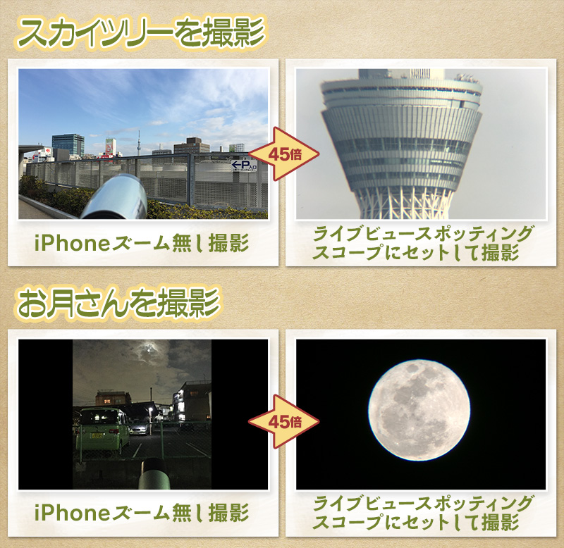 【ライブビュースポッティングスコープ for iPhone】で撮影した写真