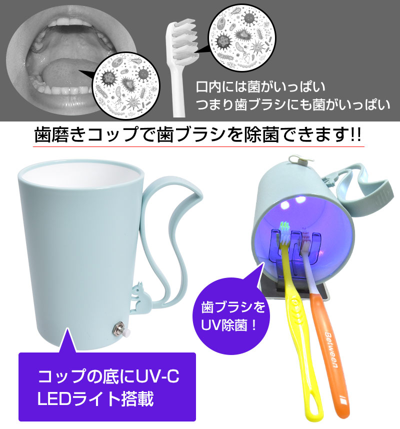 UV除菌で水も歯ブラシもきれいに