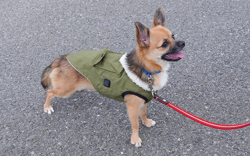 愛犬用ヒーターベスト「ワンだふるウォーム」