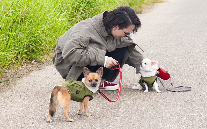 愛犬用ヒーターベスト「ワンだふるウォーム」