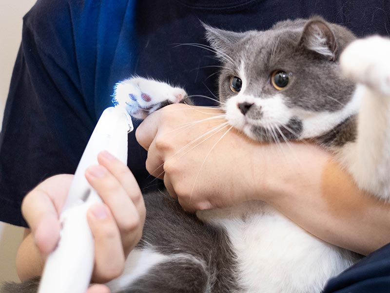 吸引できるペット用足裏バリカン