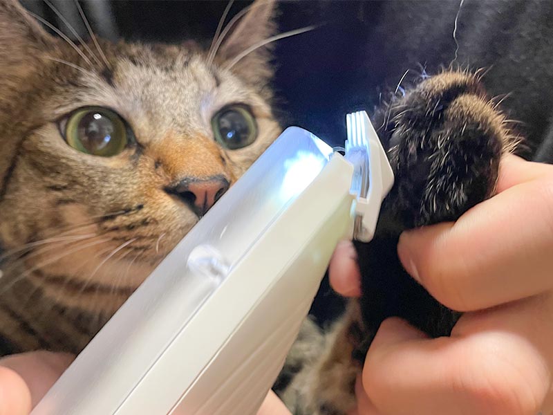 吸引できるペット用足裏バリカン