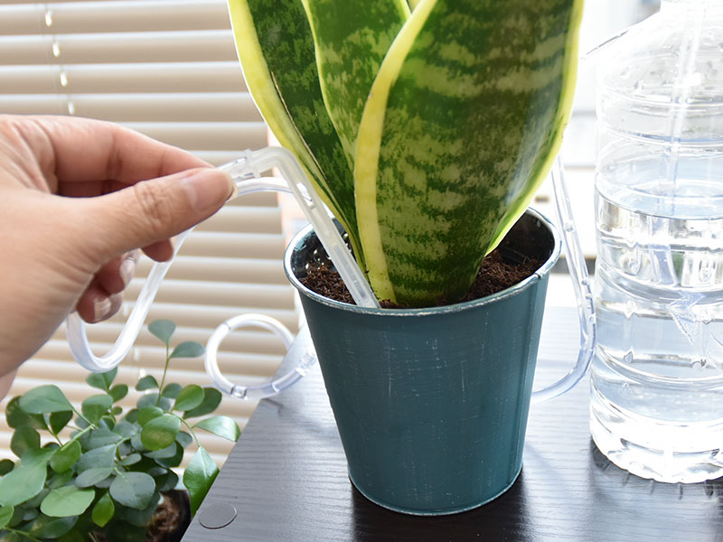 勝手に水やり「オートジョーロ」