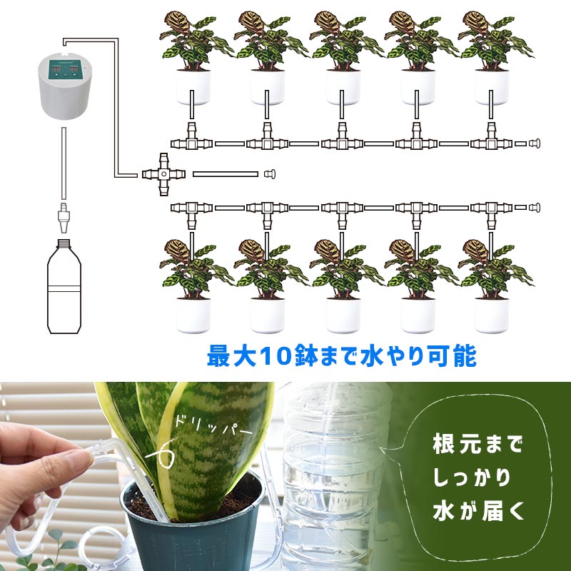 最大10鉢、植物の根まで水やり