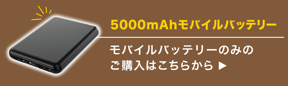 サンコー コレクション usb ブランケット