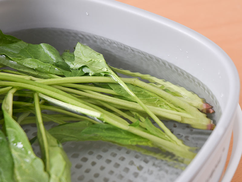 振動でかんたん土落とし「ラクベジウォッシャー」