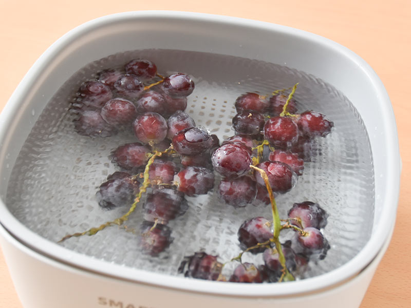 振動でかんたん土落とし「ラクベジウォッシャー」