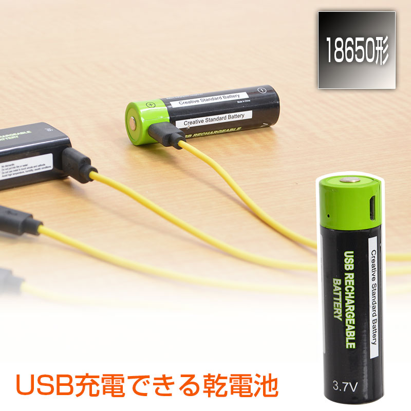 使い捨てなくても何度も使えます。USBケーブルに差して充電する乾電池
